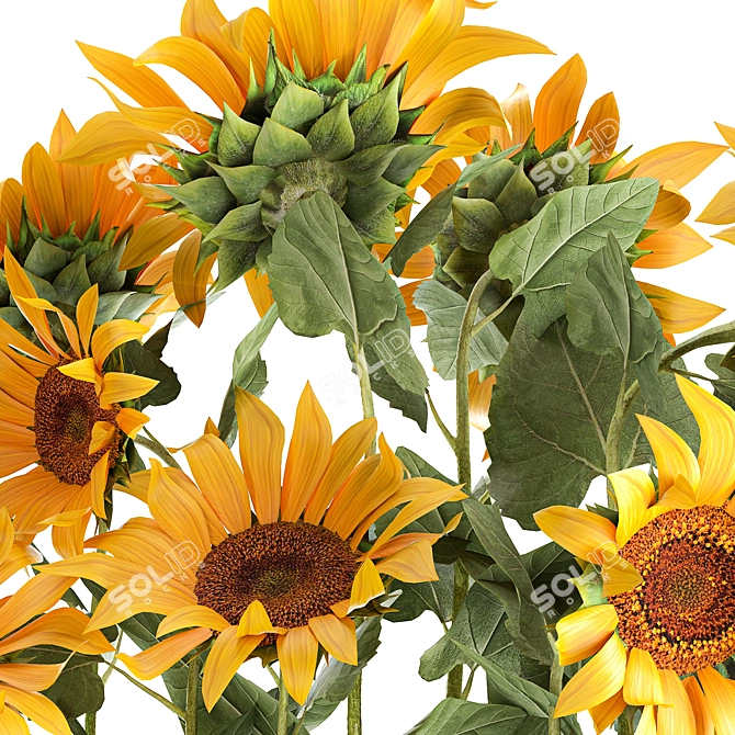 Rustic Sunflower Collection 3D model image 4