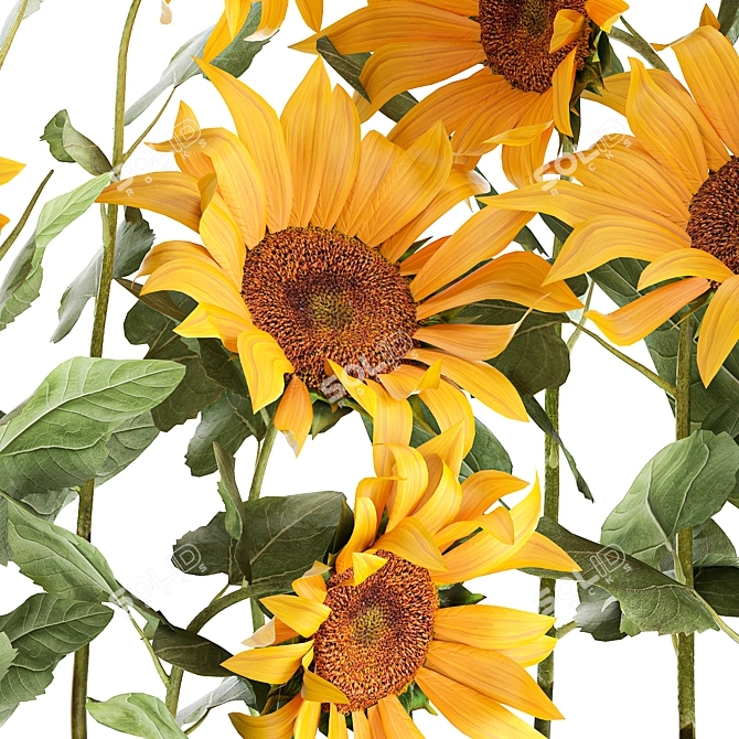 Rustic Sunflower Collection 3D model image 5