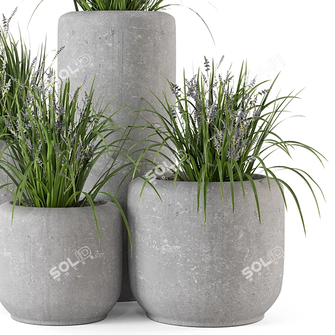 Rusty Concrete Pot with Outdoor Plants 3D model image 3