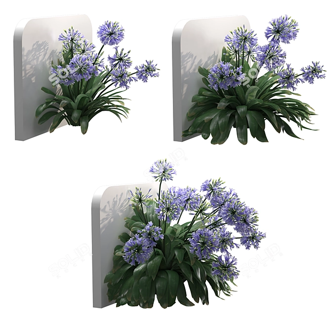 Elegant Agapanthus Wall Model 3D model image 1