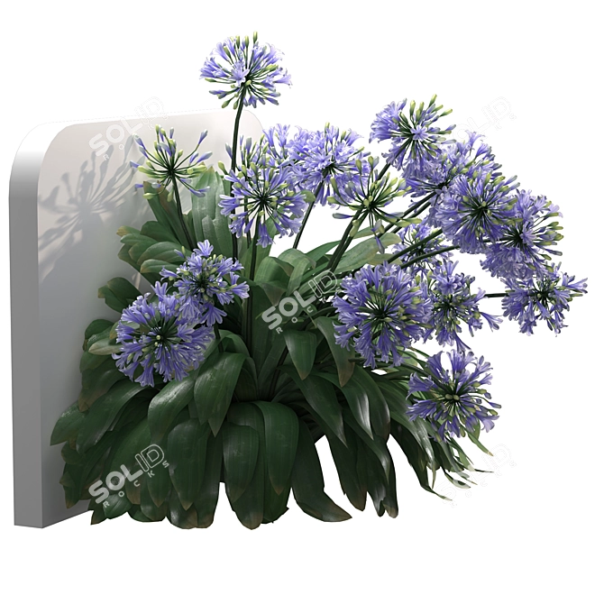 Elegant Agapanthus Wall Model 3D model image 2