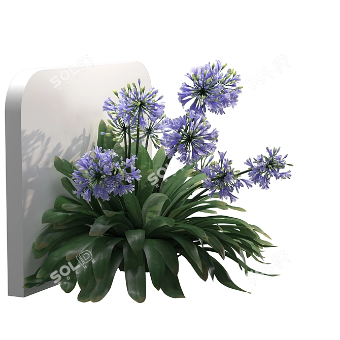 Elegant Agapanthus Wall Model 3D model image 3