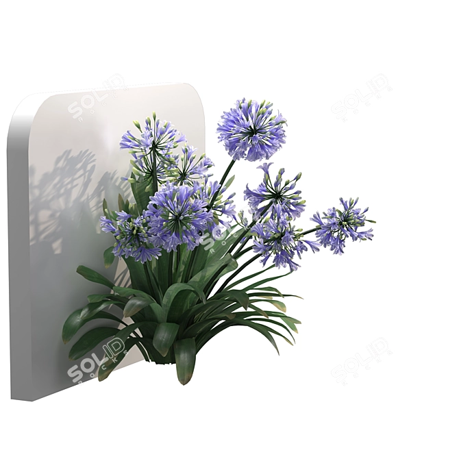 Elegant Agapanthus Wall Model 3D model image 4