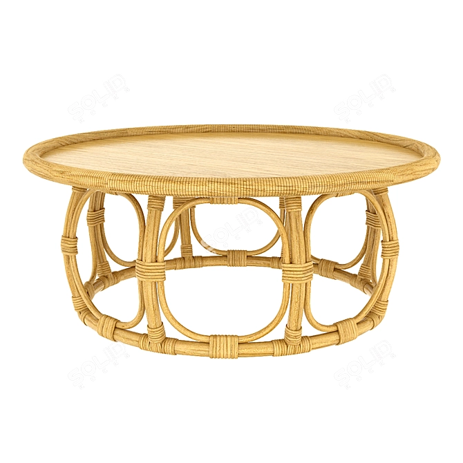 Anguilla Rattan - Realistic 3D Model 3D model image 5