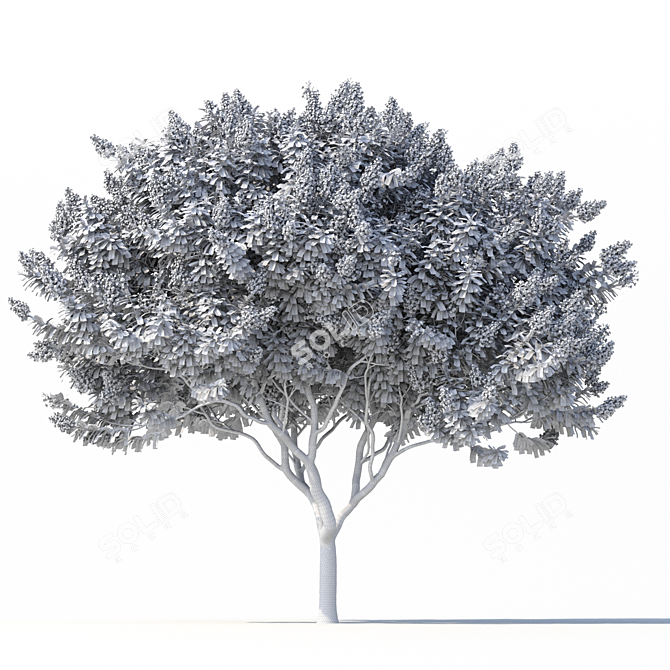 3D Crape Myrtle Tree with Flowers 3D model image 5