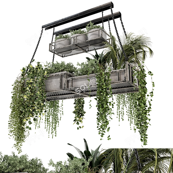 Metal Box Hanging Plants 3D model image 1