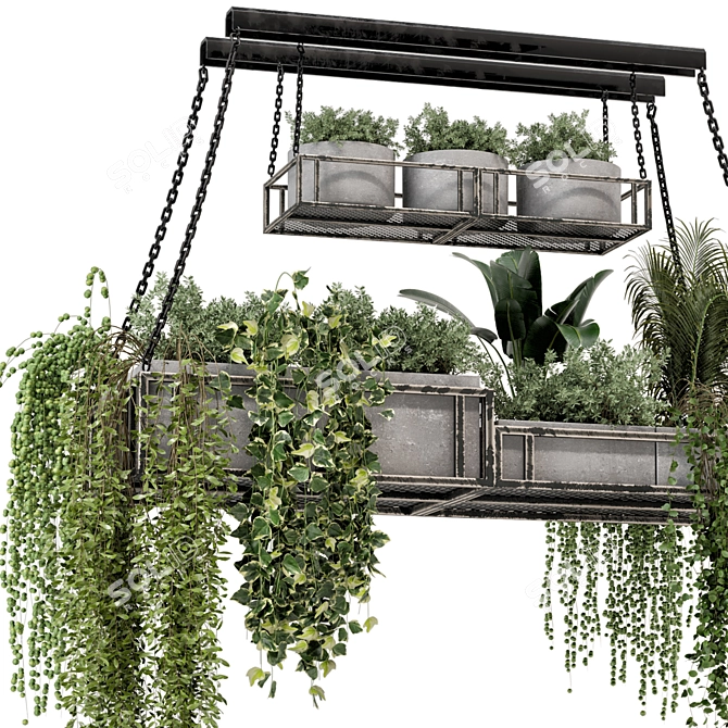 Metal Box Hanging Plants 3D model image 4