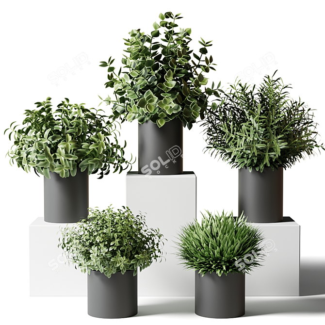 Kitchen Greenery: Small Indoor Plants in Stylish Pots 3D model image 1