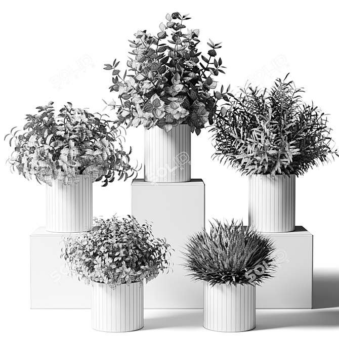Kitchen Greenery: Small Indoor Plants in Stylish Pots 3D model image 2