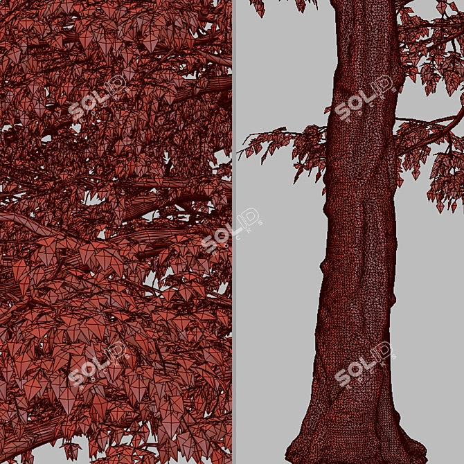 Flowering Pagoda Dogwood: Set of 2 Trees 3D model image 3