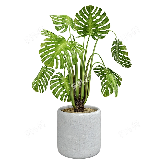 Botanical Bliss: Plant Collection 1 3D model image 2