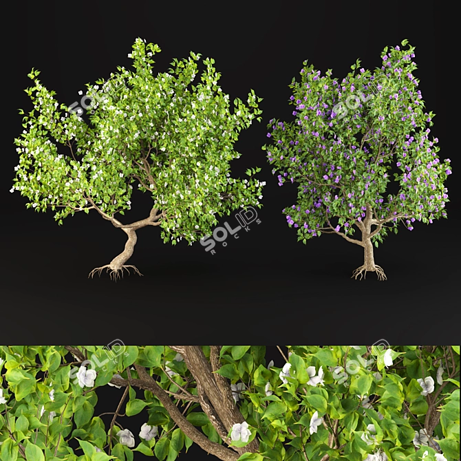 Premium Trees for Gardens and Streets 3D model image 1