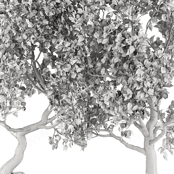 Premium Trees for Gardens and Streets 3D model image 4