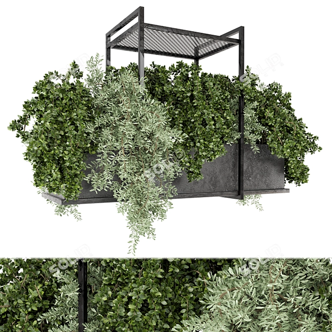 Metal Box Indoor Hanging Plants Set 3D model image 1