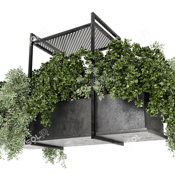 Metal Box Indoor Hanging Plants Set 3D model image 4