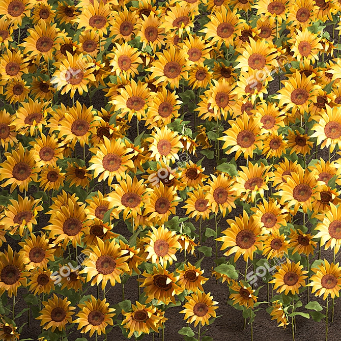 Sunflower Field Collection 3D model image 1