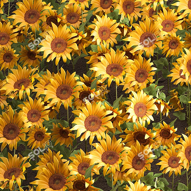 Sunflower Field Collection 3D model image 6