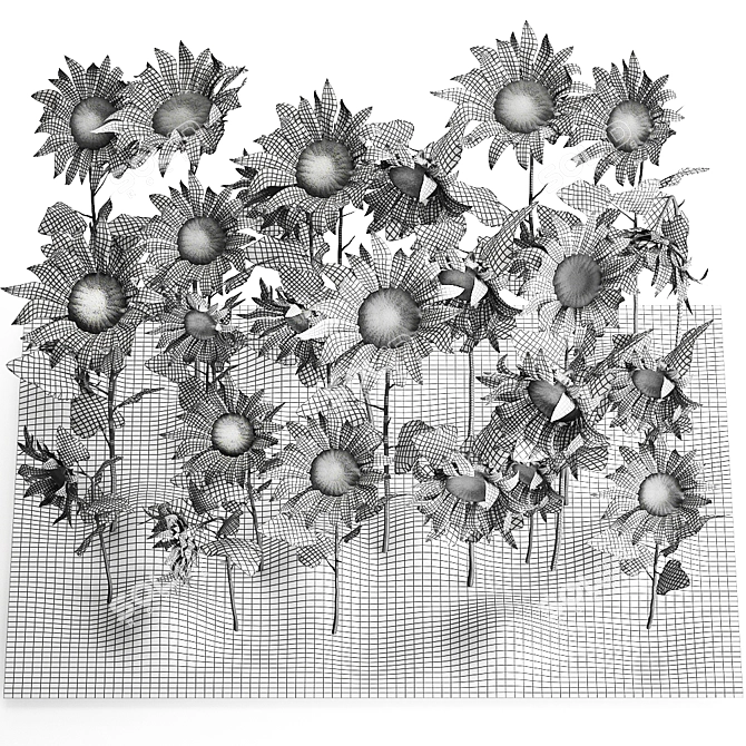 Sunflower Field Collection 3D model image 7