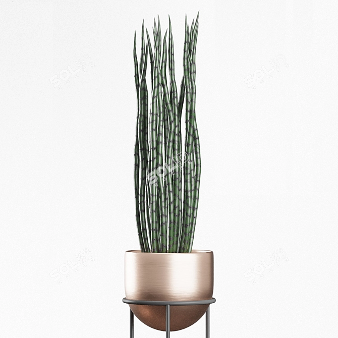 Modern Indoor Planters | Hanging & Standing | 5 Varieties 3D model image 3