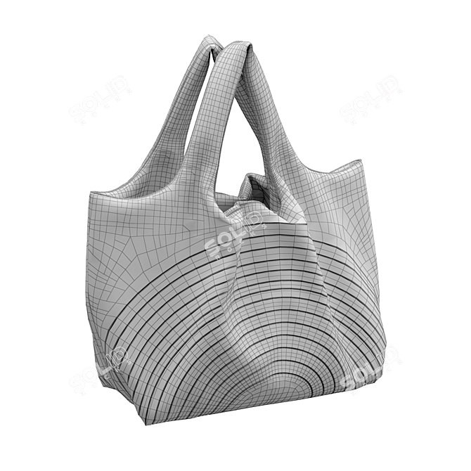 Dual Option Handbags 3D model image 5