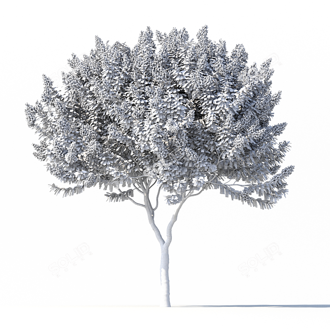 Title: Lagerstromia White Flowers - Realistic 3D Model 3D model image 5