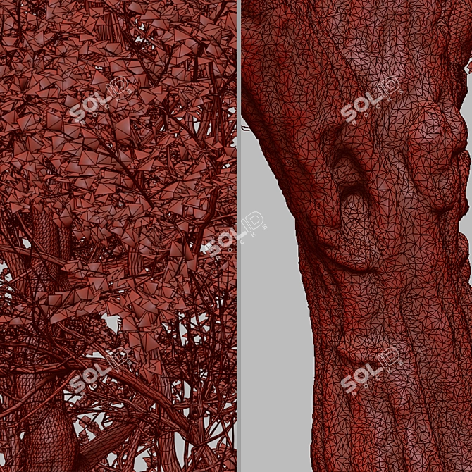 Fremont Cottonwood Trees: Natural Beauty 3D model image 6