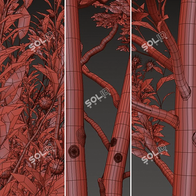Pearl Acacia Tree Set - 2 Trees 3D model image 5