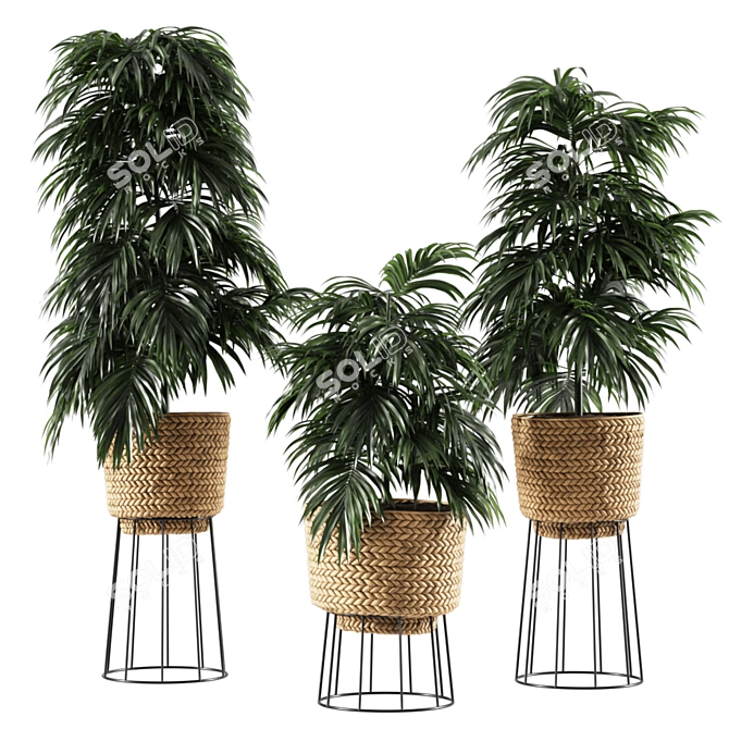 Elegant Bamboo Vase Plant 3D model image 2