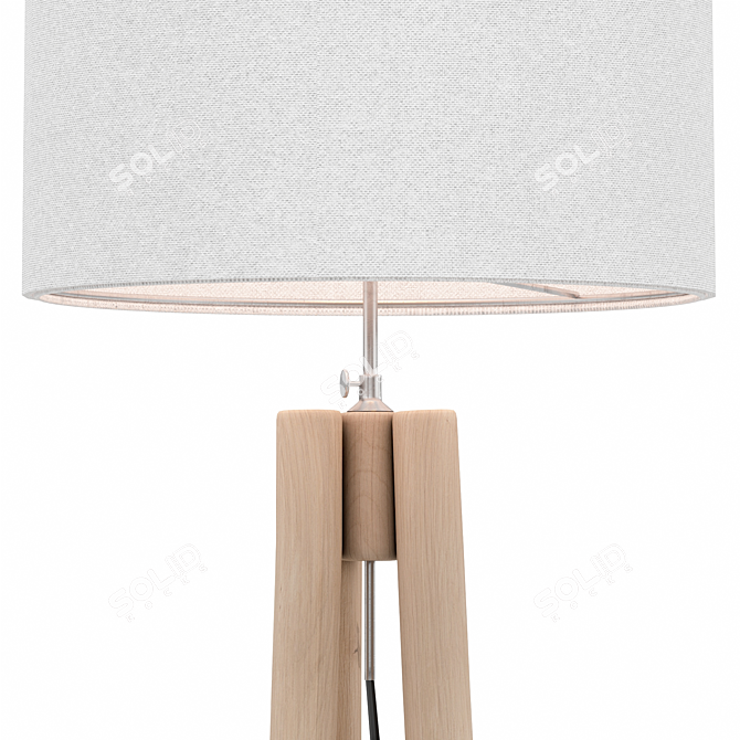 Rustic Charm: Lucelia Floor Lamp 3D model image 2