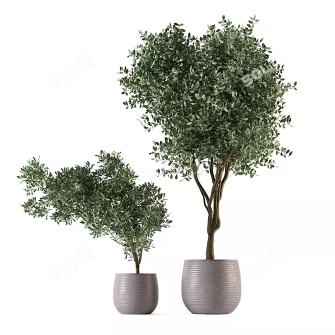 Green Oasis Indoor Plant Set 3D model image 1