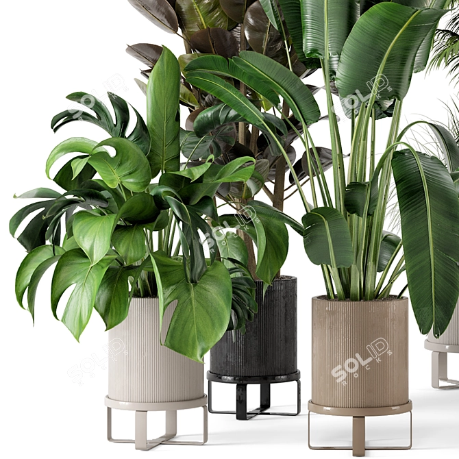 Ferm Living Bau Pot Large - Set 206: Stylish Indoor Plant Collection 3D model image 3