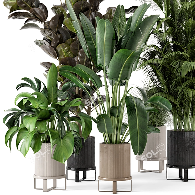 Ferm Living Bau Pot Large - Set 206: Stylish Indoor Plant Collection 3D model image 6