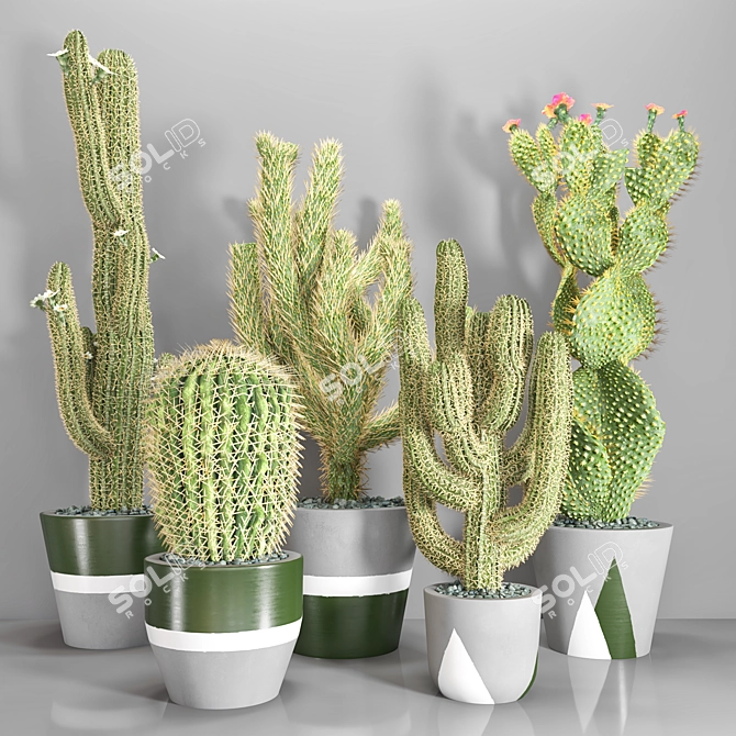 Decorative Cactus Vase | Indoor Plant 3D model image 1