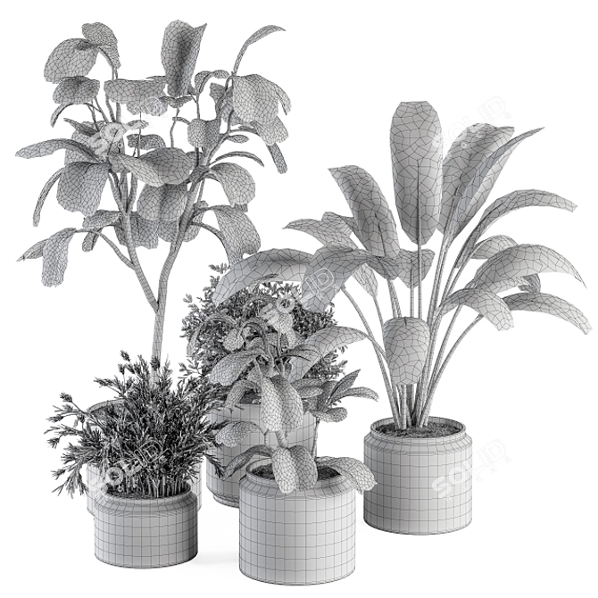 260 Indoor Plant Set - Pot Included 3D model image 5