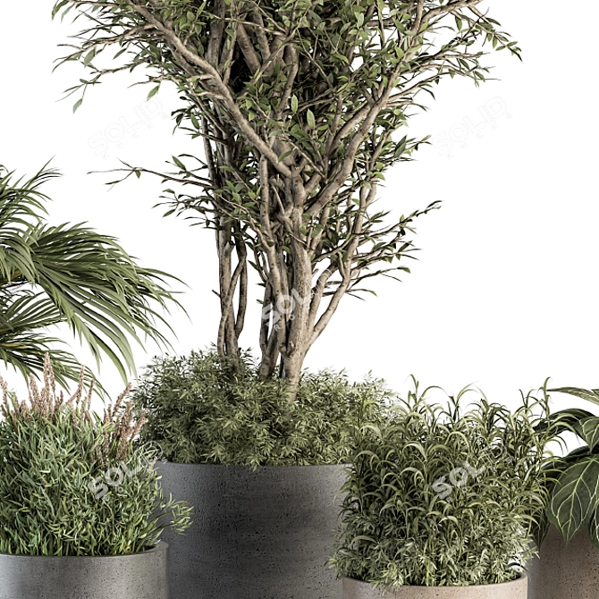 Big Outdoor Plant Set - Pot 3D model image 5