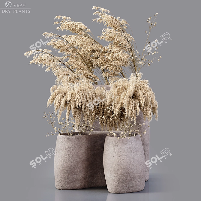 Desert Oasis: Dried Flora 3D model image 1