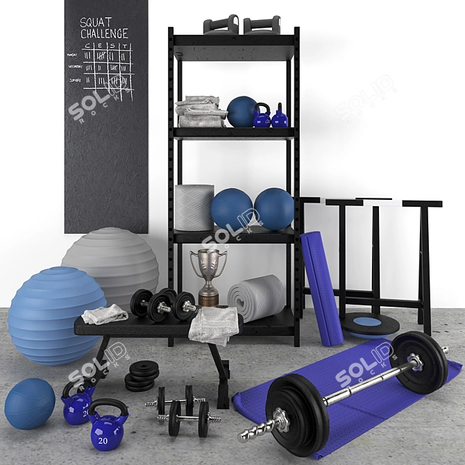 Blue and Gray Home Gym Set 3D model image 1