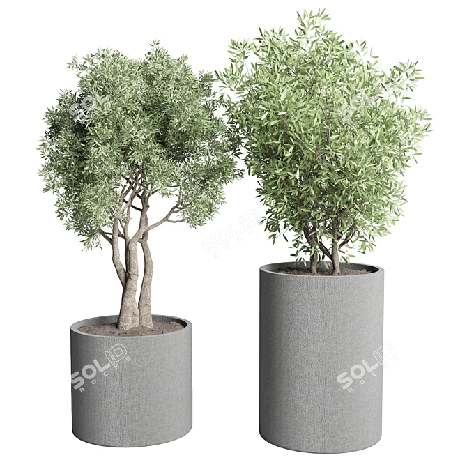 Title: Concrete Vase Pot with Outdoor Tree and Grass Bush 3D model image 2