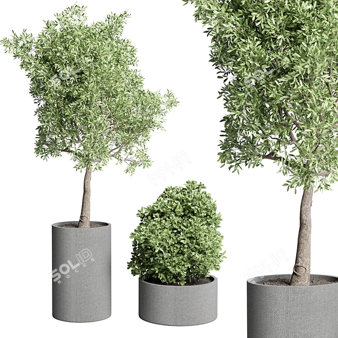 Title: Concrete Vase Pot with Outdoor Tree and Grass Bush 3D model image 3