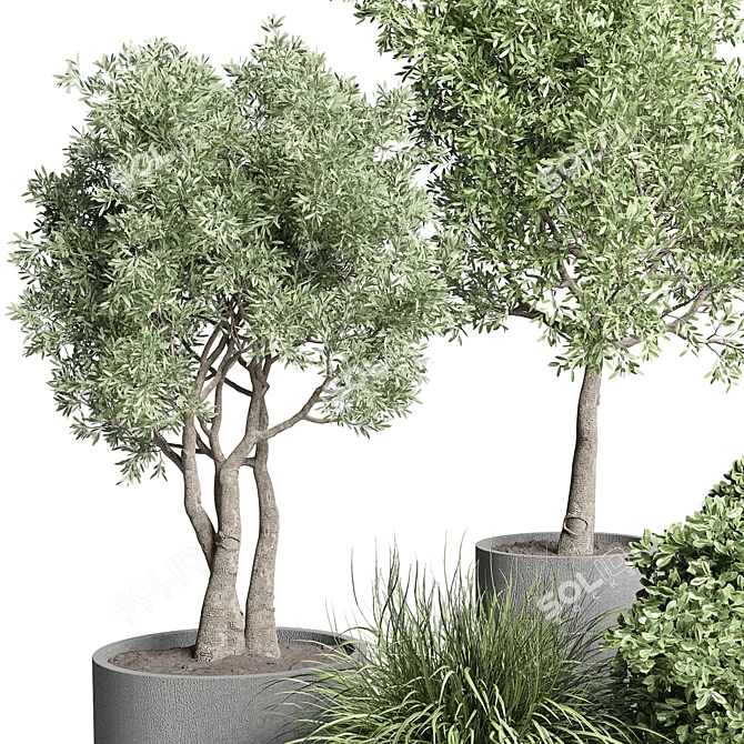 Title: Concrete Vase Pot with Outdoor Tree and Grass Bush 3D model image 4