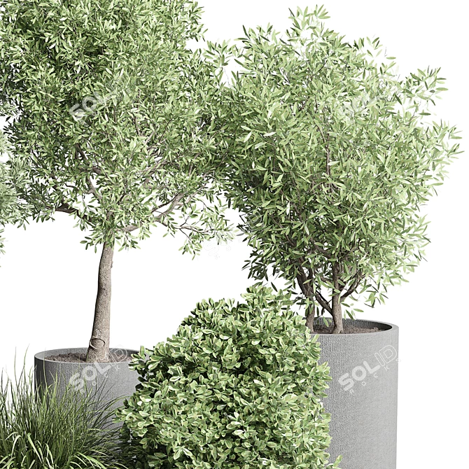 Title: Concrete Vase Pot with Outdoor Tree and Grass Bush 3D model image 5