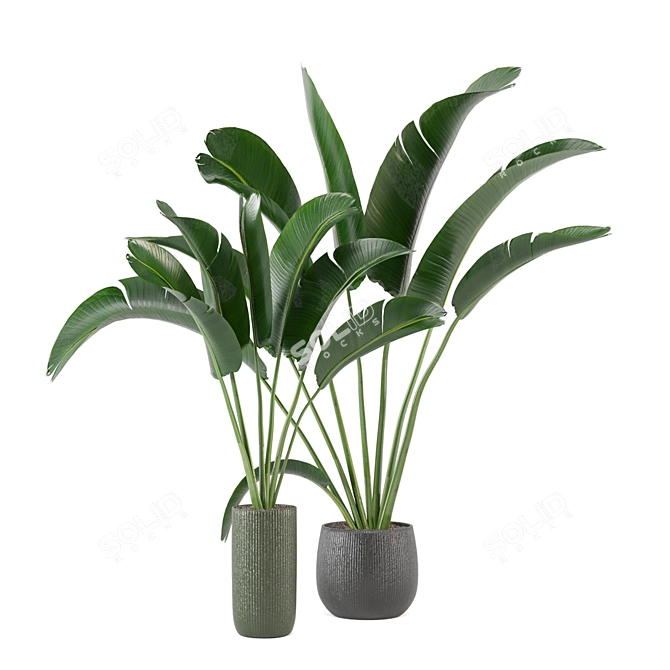 Green Fingers: Indoor Plants Set 3D model image 1