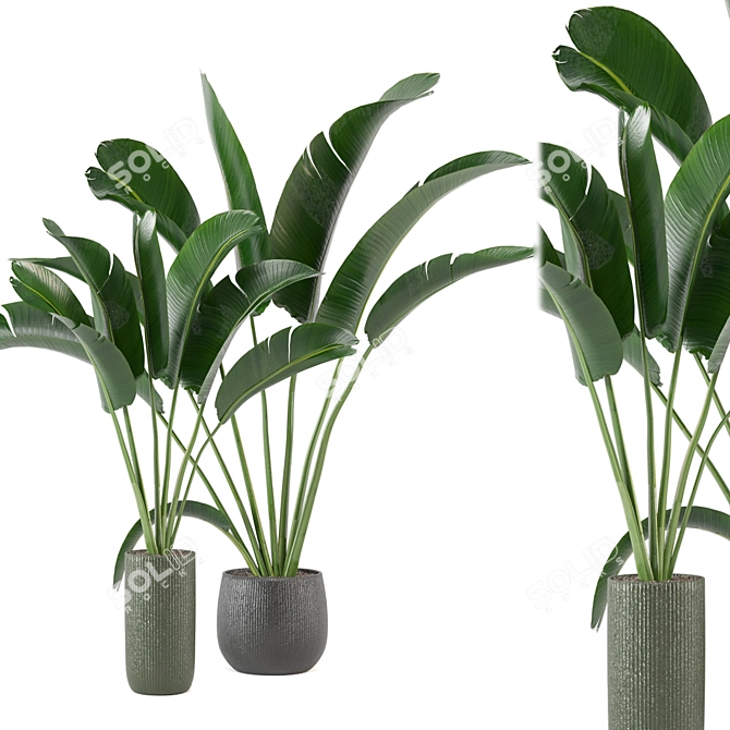 Green Fingers: Indoor Plants Set 3D model image 5