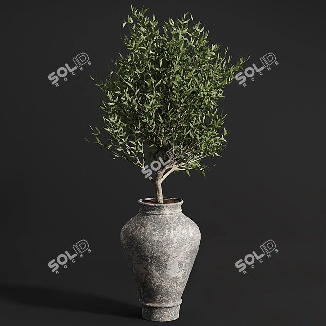 Green Oasis: 11 Indoor Plant Collection 3D model image 4