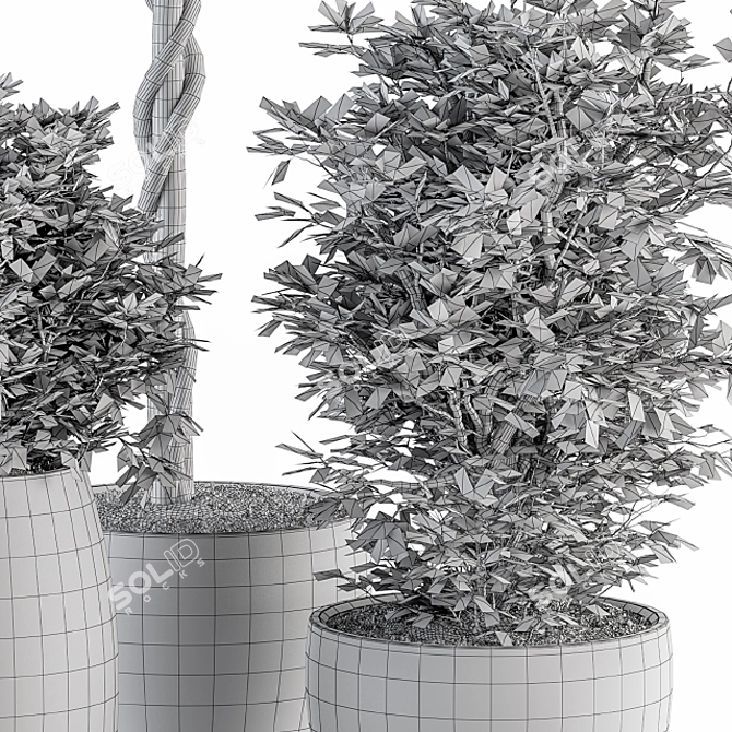 273 Indoor Plant Set - Pot Included 3D model image 6