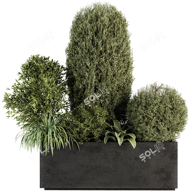 Outdoor Plant Collection 249 - Plant Box 3D model image 1