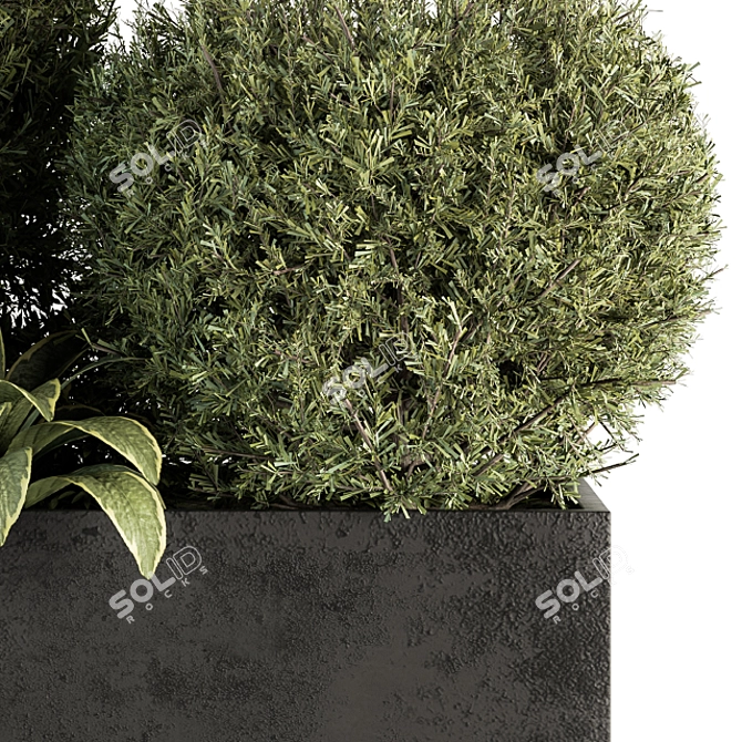 Outdoor Plant Collection 249 - Plant Box 3D model image 4