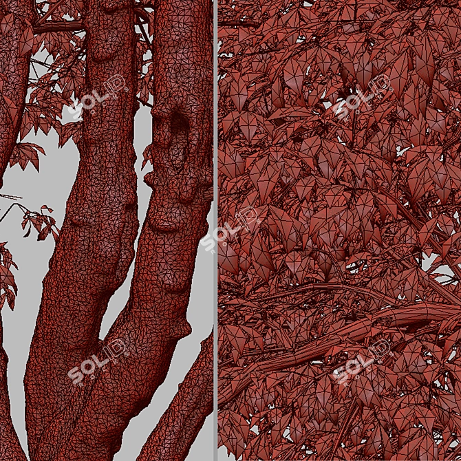 Water Birch Trees - Set of 2 3D model image 5