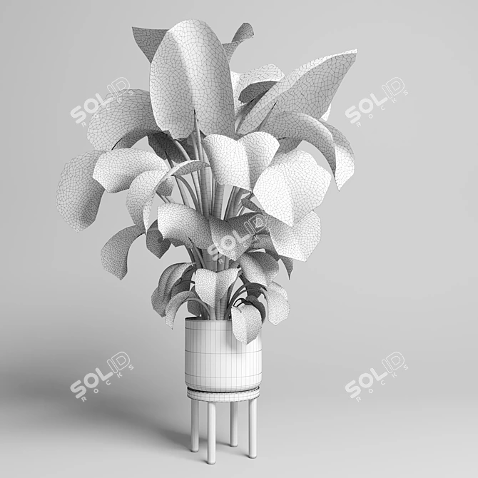 Wood Vase Indoor Plant Monstera 3D model image 5