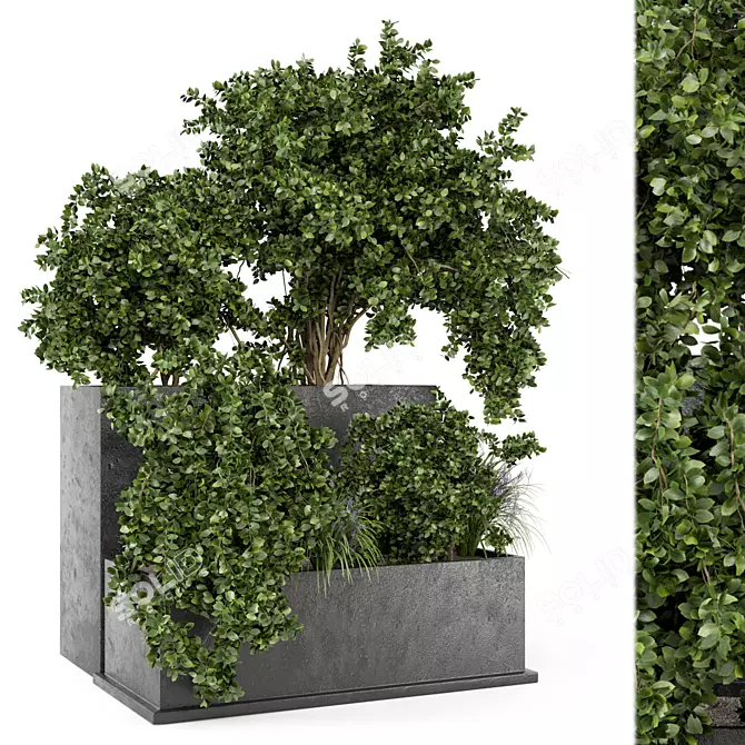 Rustic Outdoor Planter Set in Concrete Pot 3D model image 1